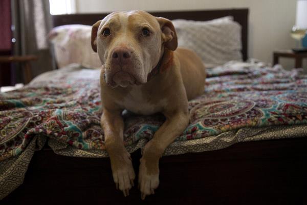 /Images/uploads/Humane Society of Utah/HSUCalendar/entries/597thumb.jpg